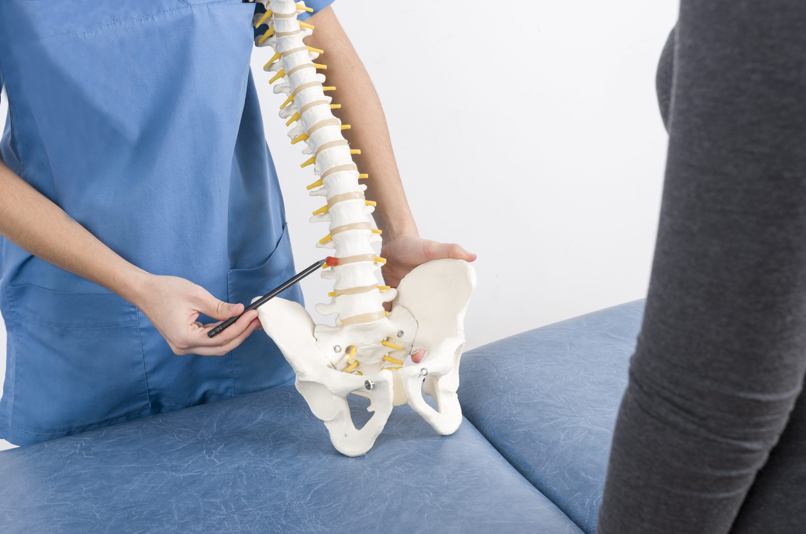 A rendering of herniated disc for spinal adjustments in Clearwater.
